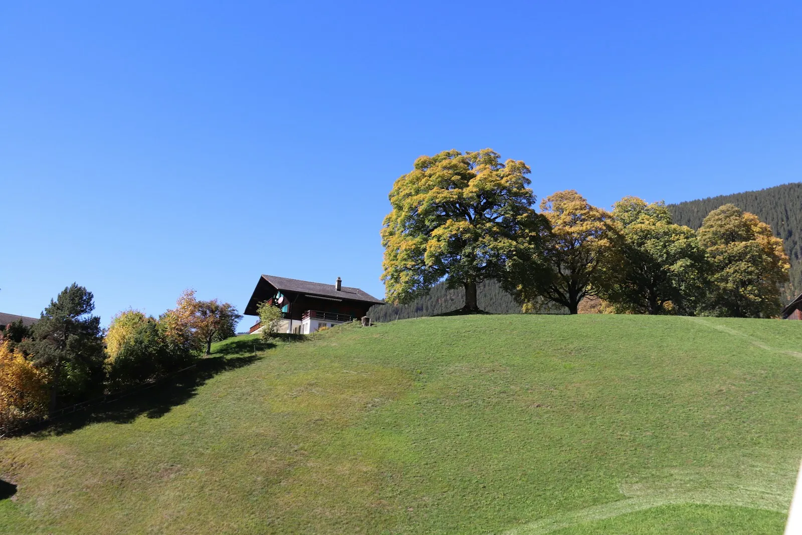 Ein Wohnhaus auf einer Anhöhe, davor eine abfallende Wiese mit einzelnen Bäumen.